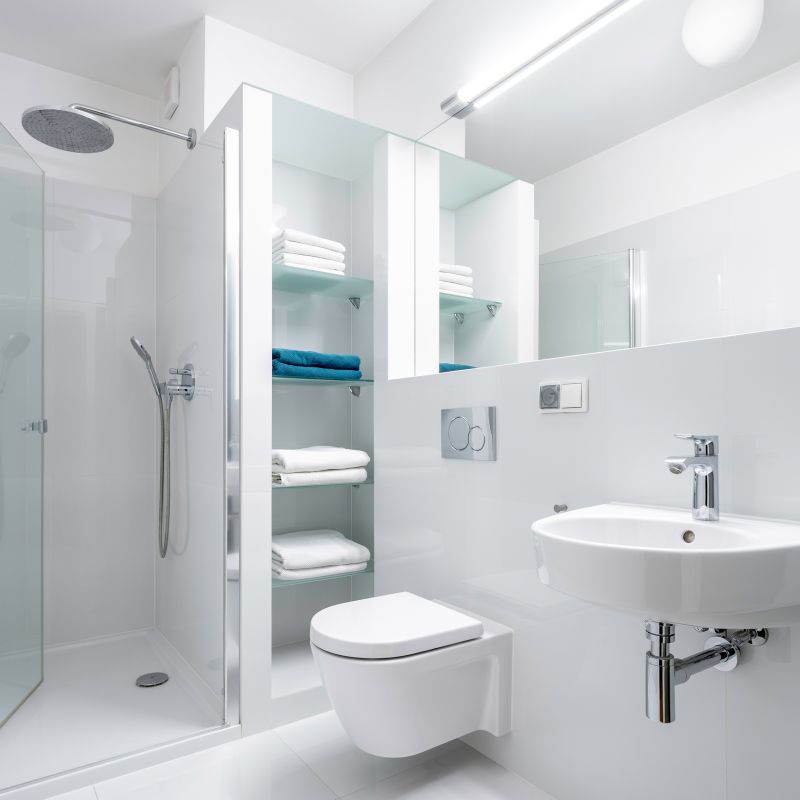 Efficient Walk-In Shower with Niche Storage